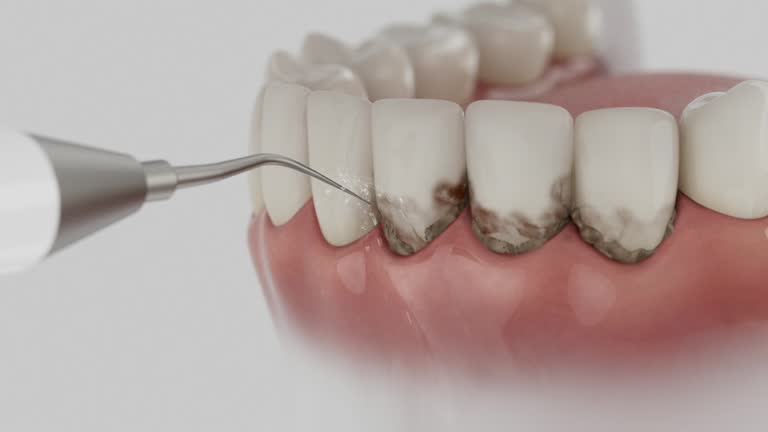 Reliable Dental contractor in Livingston County County, IL by Dentist Open Now